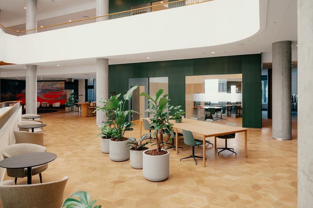 Rovere - Parquet a disegno - Hexparket